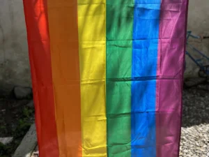 steag-rainbow-150x90