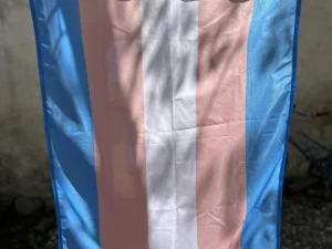 Steag trans