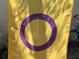 Steag intersex
